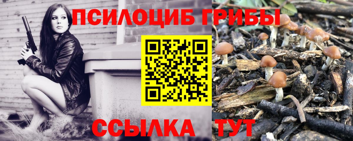 Псилоцибиновые грибы ЛСД Тосно